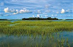 bluffton marsh view